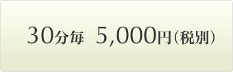 30分 5,000円(税別)