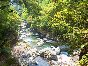 美しい仁淀川