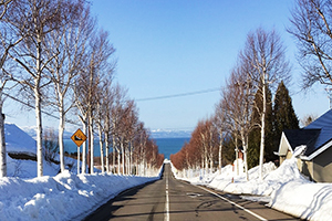 内浦湾を望む