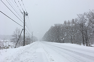 雪の八雲町